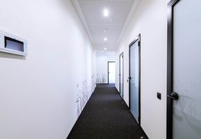 Двери SLIM в проекте Современный европейский офис